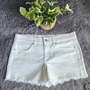 LOFT shorts